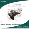 Audley 9060 Flatbed UV Dijital Baskı Makinesi